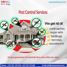 Pest Control Icon